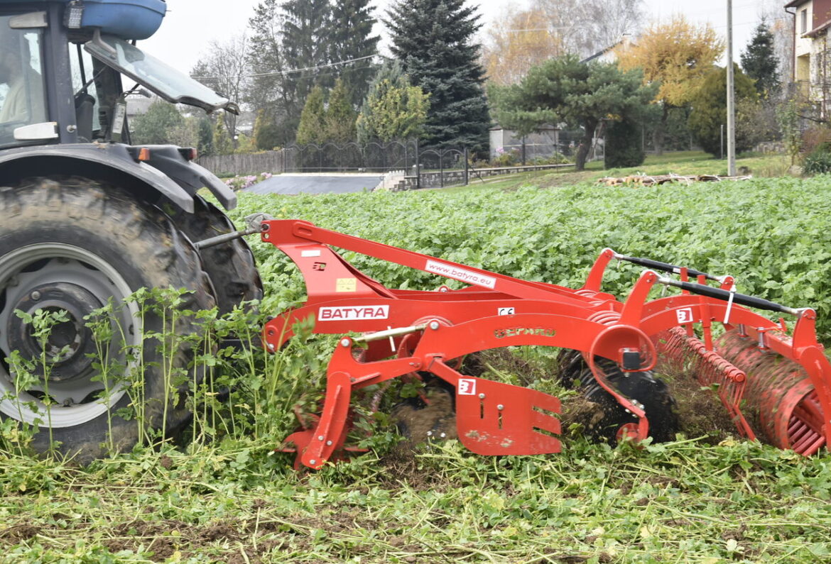 terrax_batyra_maxicut-_NIK5242JPG