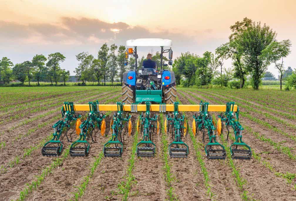 terrax_yurdusar_bineuse_inter_rang_betterave